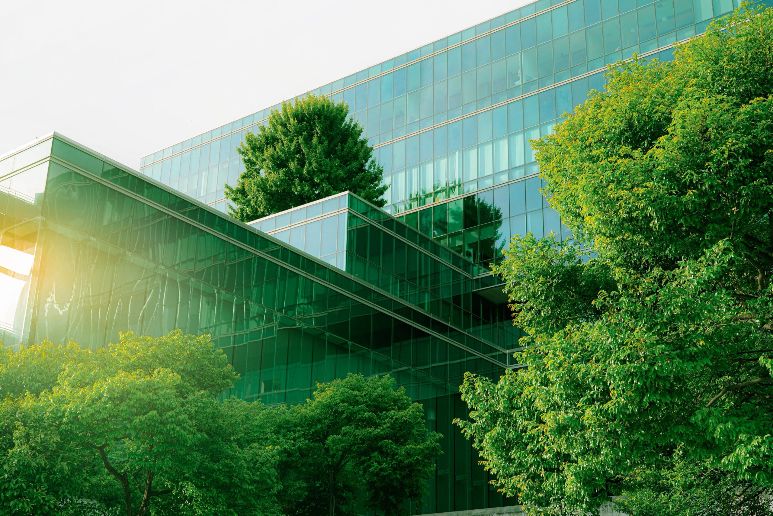 Sustainable,Green,Building.Sustainable,Green,Building.